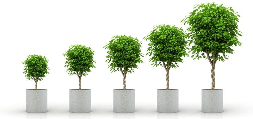 dispensationalism_promote_view_evolution_doctrine