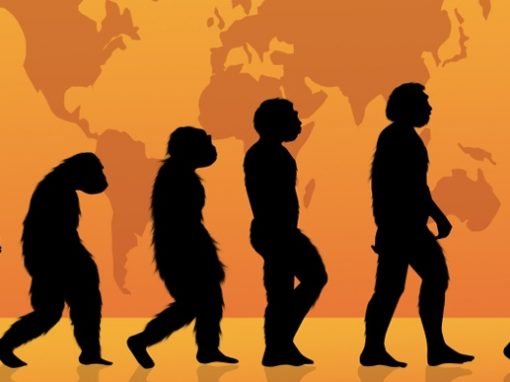 The Revolution against Evolution