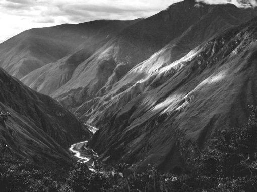 The Pause – Of Decaf and Delight