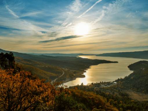 Joyous Lands – Of Decaf & Delight