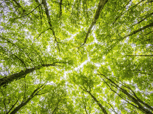 What’s Going On in Your Environment?