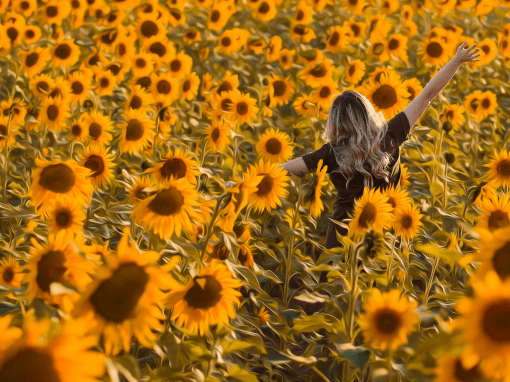 You Are Fearfully and Wonderfully Made!