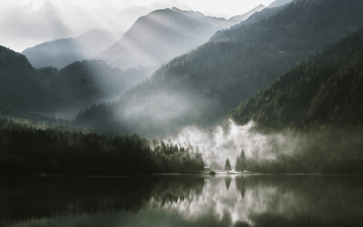 How to Beat the Overwhelm