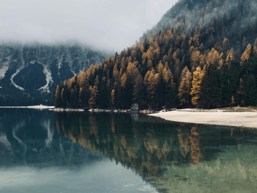 Where Do You Find Peace?