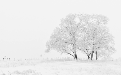 The Importance of God’s Gifts