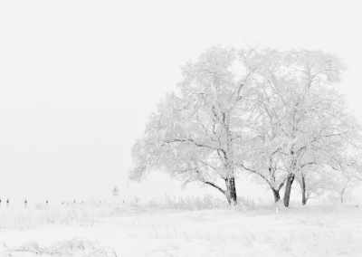 The Importance of God’s Gifts